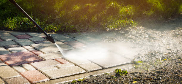 Best Dumpster Area Cleaning  in Gotha, FL